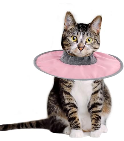 Acquista Tuta per sterilizzazione per gatti Comoda tuta per recupero gatti Abiti protettivi post-operatori regolabili Forniture Pey in Italia a partire da 5.64