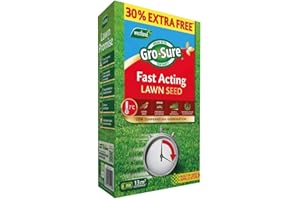 WESTLAND HORTICULTURE Westland Fast Acting Lawn Seed 10m2 + 30% Free