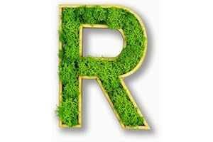 ‎MOOSLY Moosly® Moosbild - R - mit Rahmen aus Holz, Moos Deko Buchstaben Zeichen Symbol Zahl Holzbuchstabe mit echtem Islandmoos Wandtattoo Wandsticker Wandbild selbstklebend Wohnzimmer (119 R)