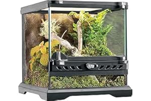 Exo Terra Reptilien Terrarium aus Glas, mit einzigartiger Front Belüftung, 20 x 20 x 20cm