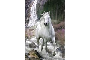 EMPIREPOSTER Mini plakat 'Bob Langrish White Horse' z akcesoriami