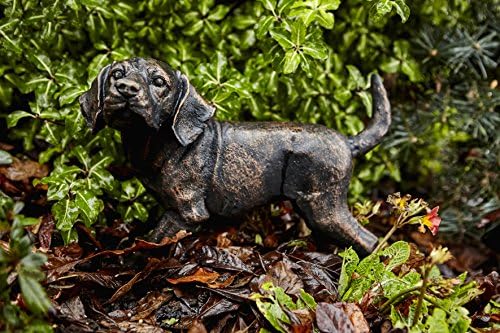Puppy Dog Statue - Cast Iron Bronze Feature /Animal Ornament Garden Home