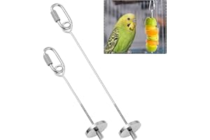 BANSUSU Parrot Skewer Feeder Stainless Steel 2pcs S/L Parrot Treats Fruit Stick Holder Bird Food Holder Foraging Toy for Parrot Budgie Parakeet Cockatiel