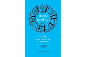 Pebbles of Perception: How a Few Good Choices make All the Difference