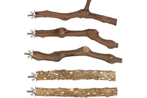 VIBURY Natural Wood Parrot Stand Set, 5 pcs Bird Perch Branch, Parakeet Climbing Standing Branches Toy Chewable Cage Accessories for Small Budgies Cockatiels Lovebirds