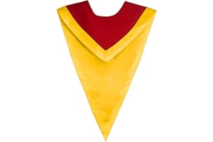 IvyRobes Unisex V Shape Reversible Choir Stole with Border for Adults Shiny Clergy Church Costume Stoles 6 Colors