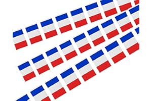 HOLLYLIFE 10m Guirlande Drapeau Francais avec 30 Petits Drapeau Tissu Coloré 14*21cm Bannière Fanion Banderole pour École Patio Piscine Camping Anniversaire Mariage Intérieur Extérieur Jardin Décoration de Noël