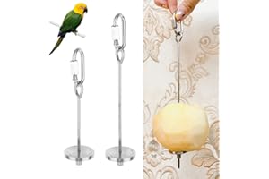 Wudong - 2 spiedini per pappagalli, in acciaio inox, per frutta e verdura e frutta, per uccelli e mangiatoia per uccelli
