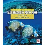 Tauchen Rotes Meer Der Ultimative Reisefuhrer Amazon De S Rogerson J R Mcintyre Bucher