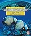 Produktbild Tauchparadies Rotes Meer: Von Sinai bis Marsa Alam