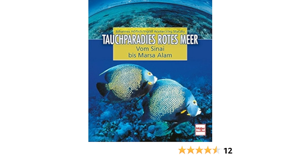 Tauchparadies Rotes Meer Von Sinai Bis Marsa Alam Vom Sinai Bis Marsa Alam Amazon De Hoflich Johannes Winter Ingolf Matzky Jorg Bucher