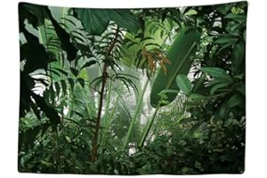 Ulticool - Wandteppich Tapestry Dekoration Wohnung - Tropenwald Natur Eco Grün Pflanzen Wald - 200 x 150 cm groß - Wandtuch Wandbehänge - Accessoires für Schlafzimmer Wohnzimmer Kinderzimmer