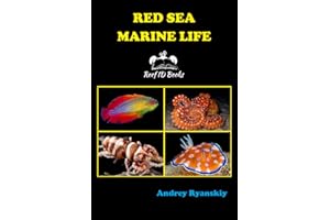Red Sea Marine Life