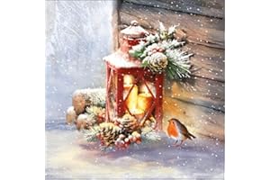 Servietten Weihnachten Lot de 20 serviettes en papier Motif oiseaux sur lanterne,Animaux,Hiver,Noël,Décoration de table 33x33cm