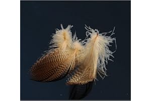 Tigofly 40 pcs/lot 4 colors Natural Barred Mallard Duck Flank Feathers Wild Goose Hair Wings Fly Tying Materials