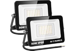 RIGIDON 2x utomhus LED arbetslampa 50W 5000lm strålkastare varmvit