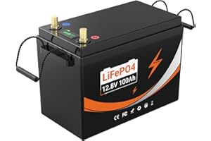 HXRFOAK Batteria LiFePO4 12V 100Ah con protezione dalle basse temperature- per camperistiche solari marine di trasporto terrestre (12V 100Ah Lifepo4)