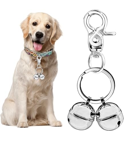 2 Clochettes Métal Vintage Pour Chien Et Chat - Grelots Pour Collier - Son Clair Pour Localiser Ton Animal - Taille 22 Mm