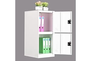 MECOLOR Piccolo armadietto verticale a un livello con chiusura a lucchetto, 2 o 3 scomparti per dipendenti, casa, ufficio, scuola, bambini (bianco pieno, P2V) (bianco completo, P2V)