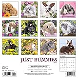 Image de Just Bunnies 2017 Calendar