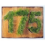 Custom Address Sign | Rustic Hou