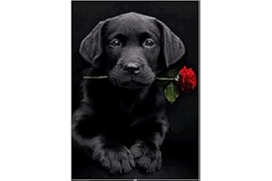 MXJSUA Proyecto de Manualidades,DIY 5D Kit de Pintura de Diamante por número Cuadro Mosaico de Cuentas en 5D con diseño de un Perro Labrador con una Rosa, para decoración Mural del hogar 40 x 30 cm