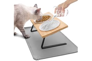 Lannvan Katzennapf Erhöht - Futternapf Katze aus Keramik - 15° Gekippte Futterstation Katzen Hundenapf mit Napfunterlage Silikon - 350ML Fressnapf und Wassernapf für Katzen und kleine Hunde