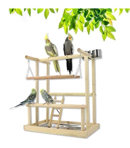 KLMYTCWSD Papegaai Vogel Speelplaats Houten Baars Gym Vogelstandaard Loopstal Ladder met feeder Cups Vogel Valkparkiet Speelgoed Oefenspel (B: 36 x 23 x 53 cm