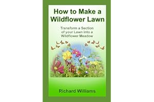 How to Make a Wildflower Lawn: Transform a section of your lawn into a wildflower meadow