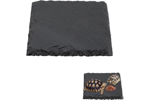 SMARTMASTER Turtle Basking Platform, Tortoise Slate Pad 10 * 10cm turtle tank tortoise accessories Slate Turtle Bathing Resting Platform Reptile Habitat Platform Feeding Dish Resting Platform Decoration