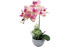 Olrla Rose Orchidée Artificielle Fleur en Pot, Fausse Orchidée Phalaenopsis pour Table Bureau Maison Fête de Mariage Jardin Décor (Rose 1)