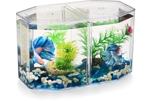 UKCOCO Pecera Betta Pequeña: Pecera Pequeña Transparente con Partición Móvil para Peces Dorados Betta