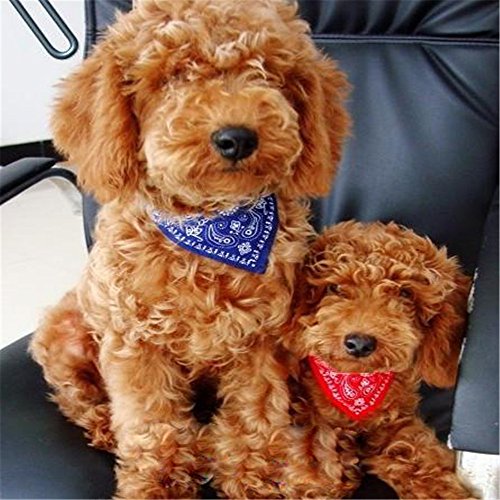 Pet-Dog-Cat-Puppy-Lovely-Adjustable-Collar-Small-Bandana-Scarf-Neckerchief-Red