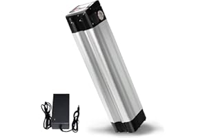 ZUIRUNDA Avec chargeur 24 V 9 Ah - Batterie Li-Ion - Pour vélo électrique Phylion, MiFa, Rex, Prophete (24 V 9 Ah)