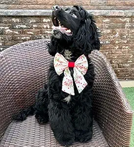 For The Fur Kids Spring Bow Tie for Dogs: Colourful Accessory for Pets (Red, White, Green)