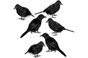 JOYIN 6 Packs Halloween Crow Decoration Set, Raven Decor Halloween Fake Crow Props for Desks, Trees, Walls, and Windows, Halloween Indoor Outdoor Party Decorations, Haunted House Decorations