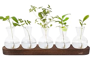 Yuhtech Szklane wazony na rośliny, terrarium, szklane probówki na kwiaty, ze stojakiem, drewniana stacja propagacyjna do salonu, na zewnątrz, dekoracja hydroponiki, prezent dla miłośników roślin