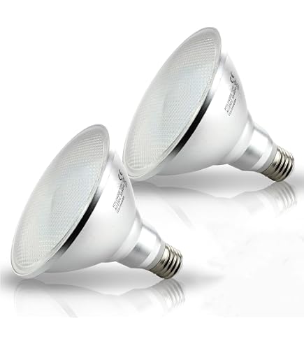 Philips PAR38 Reflektorlampe – E27, 120 W, 30° Abstrahlwinkel, 2000 H Lebensdauer