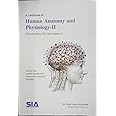A Textbook of Human Anatomy and Physiology-II, B.Pharmacy (Semester-II) (As per the Revised (2016-17) Regulations of the (PCI) Pharmacy Council of India) Latest 2019 Edition