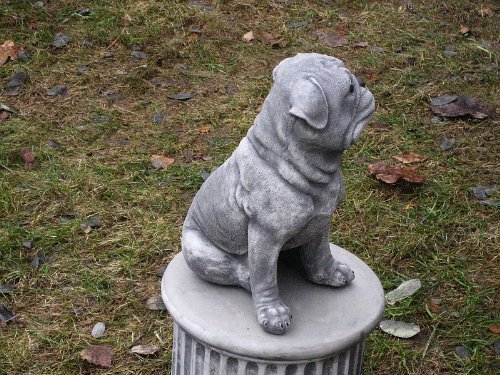 Steinfigur Welpe Hund Mops Gross 27 cm ca.6 kg Frostfest Wasserfest Stein Nr.081 - 7