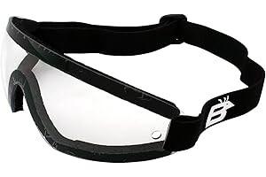 Birdz Eyewear Wing Series Goggles (Clear Lens)
