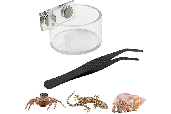 Magnetic Reptile Bowl - Jumping Spider Feeding Dish Habitat Cup, Small Cage Water Holder Tray, Tarantula Mantis Feeder Contai