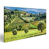 100x57cm islandburner Bild Bilder auf Leinwand Weinberge und Olivenbäume in Einem kleinen Dorf, Toskana Wandbild, Poster, Leinwandbild GVN