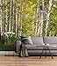Produktbild Sunny Decor - Fototapete BIRKENWALD - 368 x 254 cm - Tapete, Wand Dekoration, Wald, Baum, Birke, Natur, Landschaft -SD301