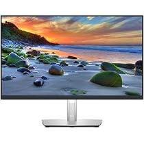 Dell P2421D - LED monitor - 23.8