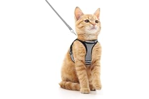 rabbitgoo Arnes Gatos y Correa 150cm Chaleco Ajustable Antitirones Reflectante Cómodo Correa Mágica para Fácil de Poner y Quitar para Paseo Diario Arnes para Perro Pequeño Conejos Gatos M Gris