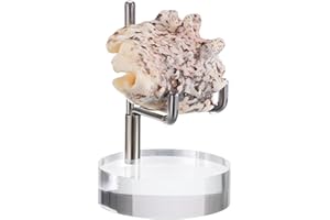 BTSKY Mini Size Adjustable Silver Metal Arm Display Stand Easel with Round Acrylic Base, Display Holder for Geodes Rock Mineral Agate Fossil Coral Coin