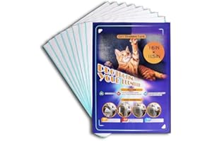 HOLESTO Ochrona przed drapaniem dla kota i psa – Dwustronna folia antydrapiąca do kanapy, drzwi, stołu i mebli – Transparentna samoprzylepna ochrona przed zadrapaniami – Sticky Paws – (8 szt. 43x30 cm)