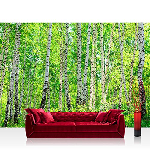 Fototapete Wald - ALLE WALDMOTIVE auf einen Blick ! Vlies PREMIUM PLUS - 200x140 cm - BIRCH FOREST - Birkenwald Bäume Wald Sonne Birkenhain Birke Birken Gras Natur Baum - no. 007