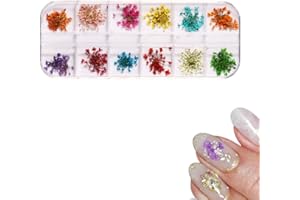 Clyhon 1 pudełko Nail Art Sticker suszone kwiaty, sztuka paznokci, naklejka do manicure, suche kwiaty, do dekoracji paznokci